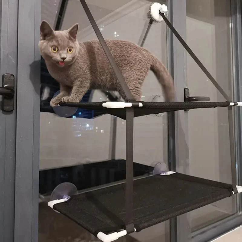 Hamac à Fenêtre Suspendue Pour Chaton 1 Hamac à Fenêtre Suspendue Pour Chaton