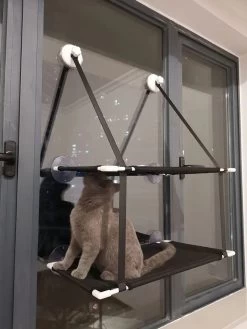 Hamac à Fenêtre Suspendue Pour Chaton 9 Hamac à Fenêtre Suspendue Pour Chaton -Chats Fournitures Magasin Hamac a fenetre suspendue pour chaton Pour toi Mon chat 1680792848