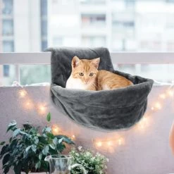 Hamac Confortable Pour Chaton -Chats Fournitures Magasin Hamac confortable pour chaton Pour toi Mon chat 1680793777 53f21f84 1cb9 4cec b359 189c5edb9444