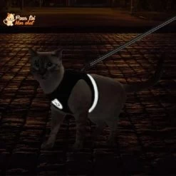 Harnais Et Laisse Respirants Pour Chat -Chats Fournitures Magasin Harnais et laisse respirants pour chat Pour toi Mon chat 1682145271