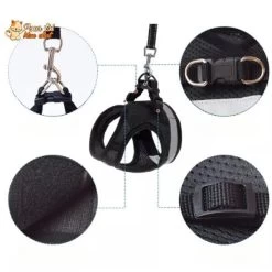 Harnais Et Laisse Respirants Pour Chat -Chats Fournitures Magasin Harnais et laisse respirants pour chat Pour toi Mon chat 1682145274