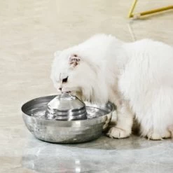Fontaine à Eau INOX - Îl'eauchat™
