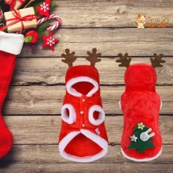 Noël - Déguisement De Noël Pour Chat - JoliRenne™