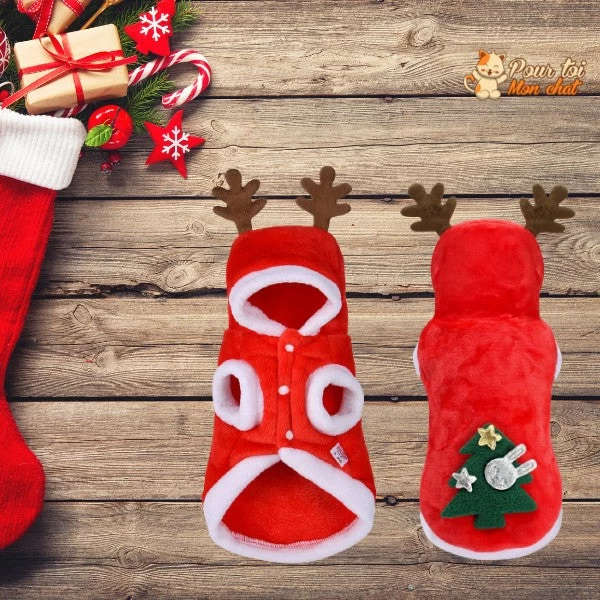 Noël - Déguisement De Noël Pour Chat - JoliRenne™ 1 Noël - Déguisement De Noël Pour Chat - JoliRenne™