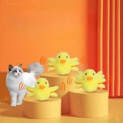Jouet Canard En Peluche électrique Pour Chats -Chats Fournitures Magasin Jouet canard en peluche electrique pour chats Pour toi Mon chat 1679697644 c4a4364e 7694 43ec a51b 03e34807ea80