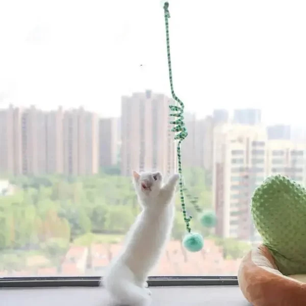 Jouet Interactif à Suspendre Pour Chaton 5 Jouet Interactif à Suspendre Pour Chaton – Image 5