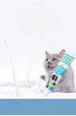 Kit De Dentifrice Enzyme Pour Chat