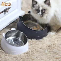 Gamelle Inclinée Pour Chat - KittyBowl™ -Chats Fournitures Magasin KittyBowl LE BOL ANTIDERAPANT POUR CHAT Pour toi Mon chat 1635331449