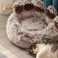 LIT À GRIFFES D’OURS POUR CHAT - TEDDYCAT™ 24 LIT À GRIFFES D’OURS POUR CHAT - TEDDYCAT™ -Chats Fournitures Magasin LIT A GRIFFE D OURS POUR CHAT TEDDYCAT Pour toi Mon chat 1668720811