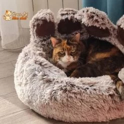 LIT À GRIFFES D’OURS POUR CHAT - TEDDYCAT™ 25 LIT À GRIFFES D’OURS POUR CHAT - TEDDYCAT™ -Chats Fournitures Magasin LIT A GRIFFE D OURS POUR CHAT TEDDYCAT Pour toi Mon chat 1668720814