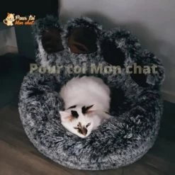 LIT À GRIFFES D’OURS POUR CHAT - TEDDYCAT™ 32 LIT À GRIFFES D’OURS POUR CHAT - TEDDYCAT™ -Chats Fournitures Magasin LIT A GRIFFES D OURS POUR CHAT TEDDYCAT Pour toi Mon chat 1682576242