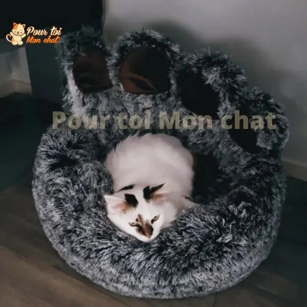 LIT À GRIFFES D’OURS POUR CHAT - TEDDYCAT™ 14 LIT À GRIFFES D’OURS POUR CHAT - TEDDYCAT™ – Image 14