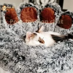 LIT À GRIFFES D’OURS POUR CHAT - TEDDYCAT™ 34 LIT À GRIFFES D’OURS POUR CHAT - TEDDYCAT™ -Chats Fournitures Magasin LIT A GRIFFES D OURS POUR CHAT TEDDYCAT Pour toi Mon chat 1682576249