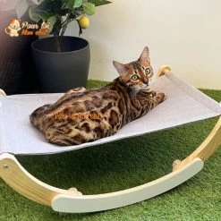 LIT BALANÇOIRE & HAMAC EN BOIS MASSIF POUR CHAT - CH’ATMAC™
