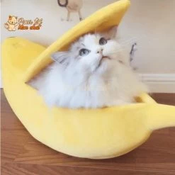 LIT BANANE POUR CHAT – Banana’Chat™ -Chats Fournitures Magasin LIT BANANE POUR CHAT Banan Chat Pour toi Mon chat 1669553831