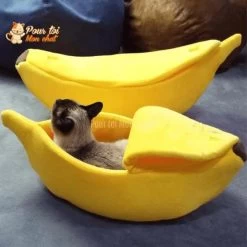 LIT BANANE POUR CHAT – Banana’Chat™ -Chats Fournitures Magasin LIT BANANE POUR CHAT Banan Chat Pour toi Mon chat 1669553844 319b940e 96c1 445e 83a1 398cbb82e6b8