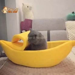 LIT BANANE POUR CHAT – Banana’Chat™ -Chats Fournitures Magasin LIT BANANE POUR CHAT Banan Chat Pour toi Mon chat 1669553855