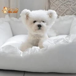 LIT COUSSIN DE PRINCESSE MIGNON EN DENTELLES POUR CHAT – Chat’dentelles™ -Chats Fournitures Magasin LIT COUSSIN DE PRINCESSE MIGNON EN DENTELLES POUR CHAT Chat dentelles Pour toi Mon chat 1669539232