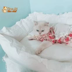 LIT COUSSIN DE PRINCESSE MIGNON EN DENTELLES POUR CHAT – Chat’dentelles™ -Chats Fournitures Magasin LIT COUSSIN DE PRINCESSE MIGNON EN DENTELLES POUR CHAT Chat dentelles Pour toi Mon chat 1669539246