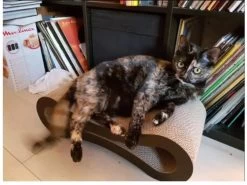 Lit à Gratter Pour Chat En Carton Ondulé -Chats Fournitures Magasin Lit a gratter pour chat en carton ondule Pour toi Mon chat 1687693740965 71b91124 7d80 4665 9d05 904e14575fa7