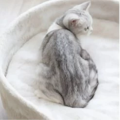 Lit Chaud Et Lavable En Laine D'agneau Pour Chat 8 Lit Chaud Et Lavable En Laine D'agneau Pour Chat -Chats Fournitures Magasin Lit chaud et lavable en laine d agneau pour chat Pour toi Mon chat 1683911064