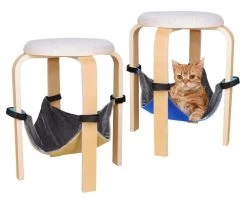 Lit En Polymère Pour Chaton