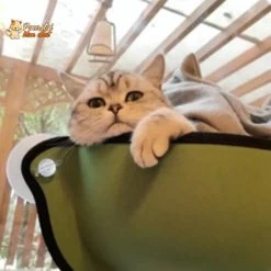 Lit Suspendu à Ventouses Pour Chat - Hamac-Fenêtre-Chat™ -Chats Fournitures Magasin Lit suspendu a ventouses pour chat Hamac Fenetre Chat Pour toi Mon chat 1667078334
