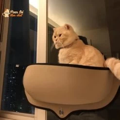 Lit Suspendu à Ventouses Pour Chat - Hamac-Fenêtre-Chat™ -Chats Fournitures Magasin Lit suspendu a ventouses pour chat Hamac Fenetre Chat Pour toi Mon chat 1667078337