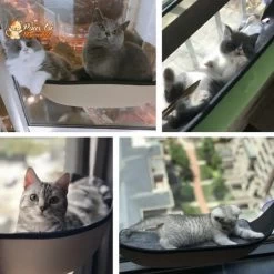 Lit Suspendu à Ventouses Pour Chat - Hamac-Fenêtre-Chat™ -Chats Fournitures Magasin Lit suspendu a ventouses pour chat Hamac Fenetre Chat Pour toi Mon chat 1667078340