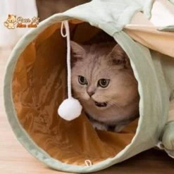 Tunnel De Jeu Avec Coussin Pour Chat - CoussiCat™ -Chats Fournitures Magasin Lit Tunnel de Jeu Repos CoussiCat pour Chat Pour toi Mon chat 1639752484