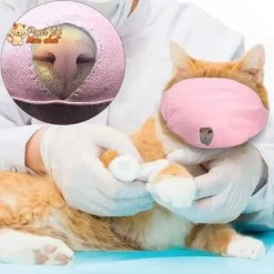 Muselière Respirante En Nylon - POUR CHAT – Masque4Cat™ -Chats Fournitures Magasin Museliere respirante en nylon POUR CHAT Masque4Cat Pour toi Mon chat 1668434891