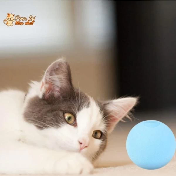 Balle Avec Des Sons D'animaux - Music'Balls™