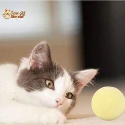 Balle Avec Des Sons D'animaux - Music'Balls™ -Chats Fournitures Magasin Music Balls4Cat Son des oiseaux des grenouilles des grillons pour Chat Pour toi Mon chat 1630405463