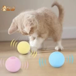 Balle Avec Des Sons D'animaux - Music'Balls™ -Chats Fournitures Magasin Music Balls4Cat Son des oiseaux des grenouilles des grillons pour Chat Pour toi Mon chat 1630408881