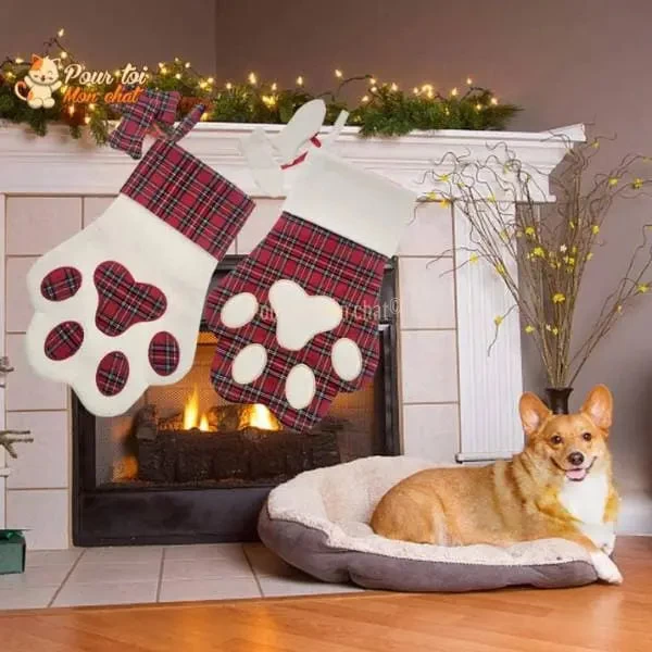 Noël Décors Chat, Chaussettes De Noël - Pour Chats - Chat’chaussette’de’Noël™