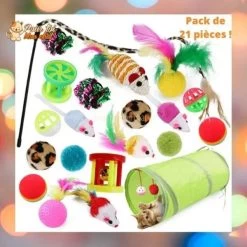 Pack De Jouets Divers Et Rigolos Pour Chat - TousmesJouets4Cat™
