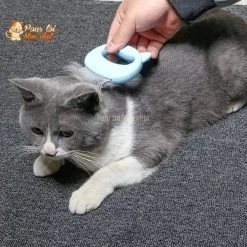 Peigne De Toilettage Et De Massage Pour Chats – Grat’monChat™ -Chats Fournitures Magasin Peigne de toilettage et de massage pour chats Grat monChat Pour toi Mon chat 1667730049