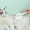 Peigne Dépilatoire Rond En Plastique Avec Bouton Pour Chat