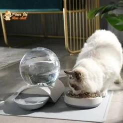 Fontaine à Eau Pour Chat - Perfect Sphère -Chats Fournitures Magasin Perfect Duo fontaine a eau et bol a croquettes pour chat Pour toi Mon chat 1664806899