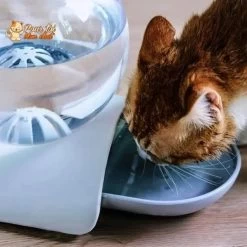 Fontaine à Eau Pour Chat - Perfect Sphère -Chats Fournitures Magasin Perfect Duo fontaine a eau et bol a croquettes pour chat Pour toi Mon chat 1664807603