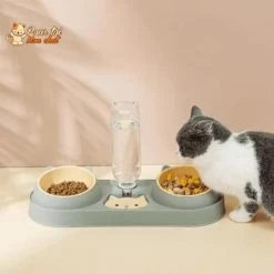 Fontaine à Eau Et Bols à Croquettes Et Friandises Pour Chat - Perfect Trio