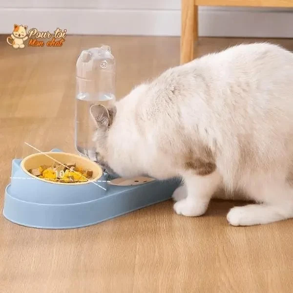 Fontaine à Eau Et Bols à Croquettes Et Friandises Pour Chat - Perfect Trio 9 Fontaine à Eau Et Bols à Croquettes Et Friandises Pour Chat - Perfect Trio – Image 9
