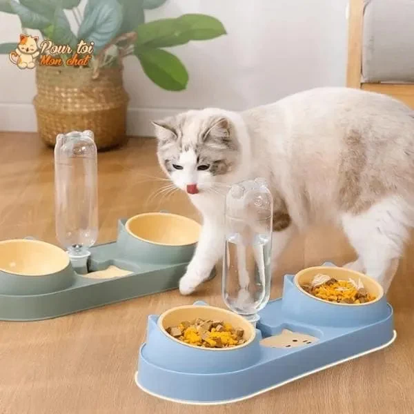 Fontaine à Eau Et Bols à Croquettes Et Friandises Pour Chat - Perfect Trio 13 Fontaine à Eau Et Bols à Croquettes Et Friandises Pour Chat - Perfect Trio – Image 13
