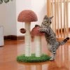 Petit Arbre à Chat En Forme De Champignon