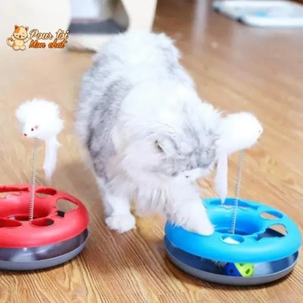 Jouet à Balles Et Plumes : 2 Jouets En 1 Interactifs Pour Chat - Pilou-Pilou™ 7 Jouet à Balles Et Plumes : 2 Jouets En 1 Interactifs Pour Chat - Pilou-Pilou™ – Image 7
