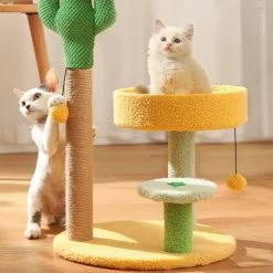 Planche à Gratter à Cactus Pour Chat
