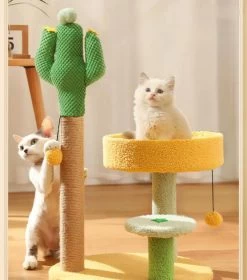 Planche à Gratter à Cactus Pour Chat -Chats Fournitures Magasin Planche a gratter a cactus pour chat Pour toi Mon chat 1681111202 90d93896 917b 4cfa b7e6 f594b92cbc95