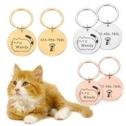 Plaque De Collier Personnalisée En Acier Inoxydable Pour Chat