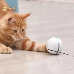 Balle Interactive Pour Chat - RollChat™