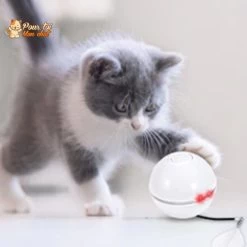 Balle Interactive Pour Chat - RollChat™ -Chats Fournitures Magasin RollChat Balle interactive pour Chat Pour toi Mon chat 1633551075